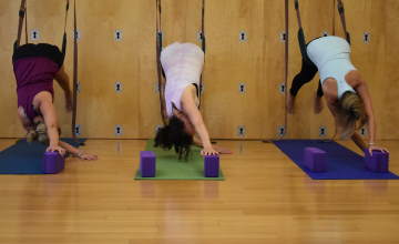 picture of people doing wall exercises